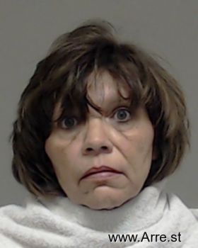 Pamela Ann Snyder Mugshot