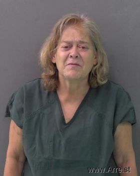 Patricia Ann Anderson Mugshot