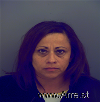 Patricia  Arenivar Mugshot