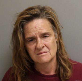 Patricia Louise Wells Mugshot