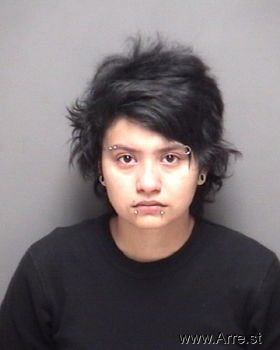 Paulina Ontireros Gomez Mugshot