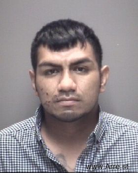 Pedro Gibran Morales-velazquez Mugshot