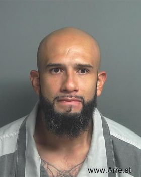 Ricardo Salinas Roman Mugshot