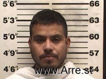 Ricardo  Venegas-regalado Mugshot