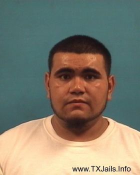 Roberto  Alvarado-soto Mugshot