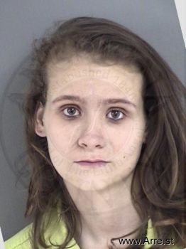 Rachel Renee Holmes Mugshot