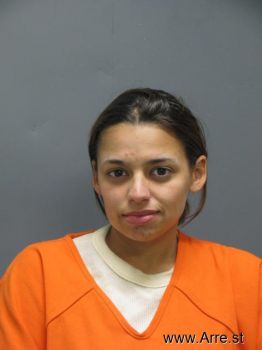 Rachel Ann Perkins Mugshot