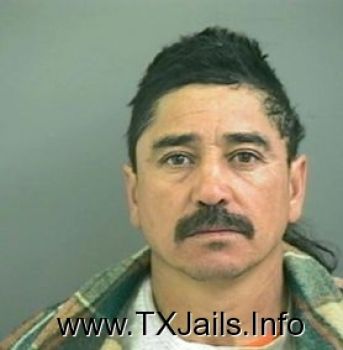 Ramon  Salinas Mugshot