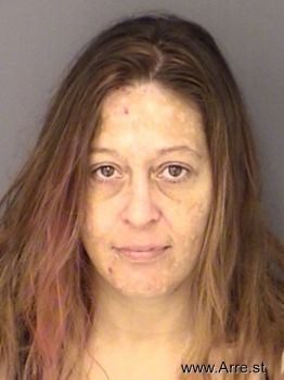 Rebecca Dyann Mullins Mugshot