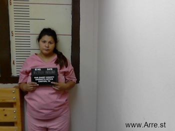 Reyna  Martinez Mugshot