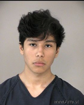 Ricardo Ii Aguirre Mugshot