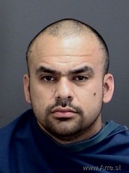 Ricardo Nathan Garza Mugshot