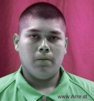 Ricardo  Gomez Mugshot