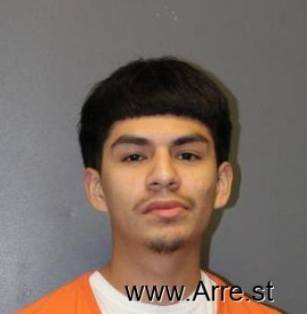 Ricardo Alexis Gomez Mugshot