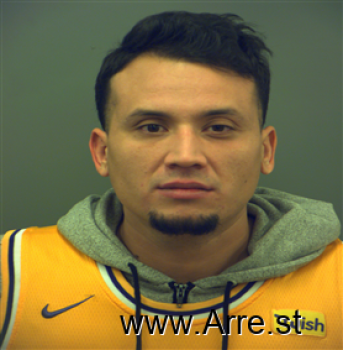 Ricardo  Trejo Mugshot