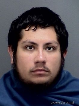 Ricardo  Trejo Mugshot