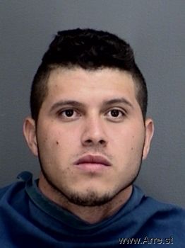 Ricardo Alejandro Velasquez Mugshot