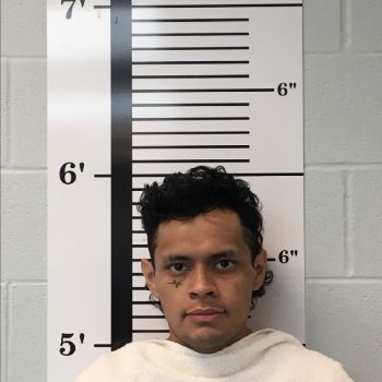 Roberto  Salas Mugshot