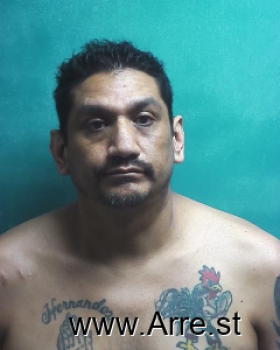 Rolando  Hernandez Mugshot