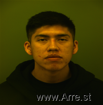 Ryan  Nakai Mugshot