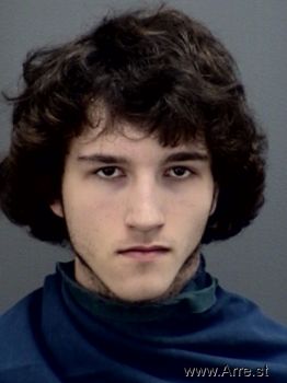 Ryan Austin Woodall Mugshot