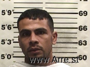 Saul  Sanchez-carrizales Mugshot