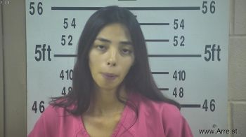 Stephanie Lizette Hernandez Mugshot