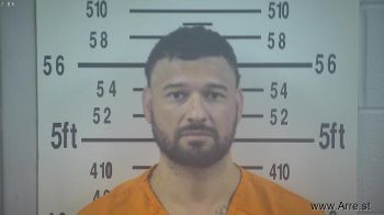 Steve  Longoria Mugshot