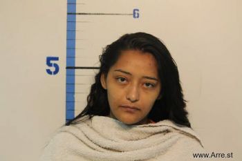 Sandra Viridiana Rodriguez Mugshot