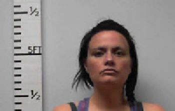 Sarah Nicole Lewis Mugshot