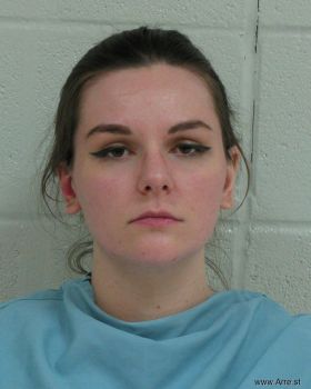 Sarah Elizabeth Newsom Mugshot