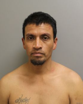 Sergio M Gonzalez Mugshot