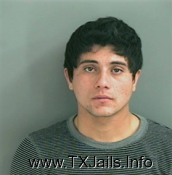 Sergio  Rocha Mugshot