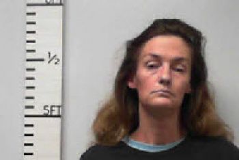 Shaina Ann Long Mugshot