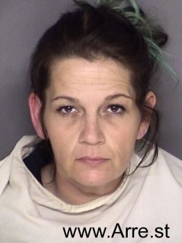 Shannon Michelle Miller Mugshot