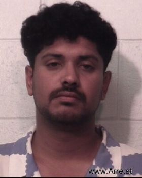 Shaun Varughese Johnson Mugshot