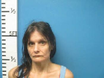 Sheryl Lynne Battles Mugshot