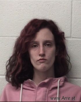 Sidney Christine Johnson Mugshot