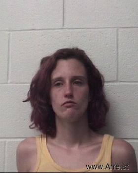 Sidney Christine Johnson Mugshot