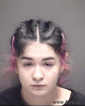 Sierra Anne Rosen Mugshot