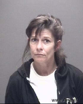 Stacy Ann Flanagan Mugshot