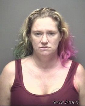 Stephanie Amber Robbins Mugshot