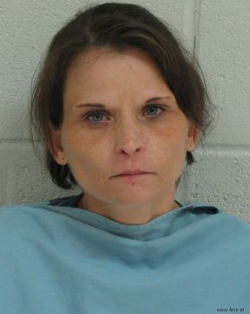 Stormy Nicole Wyatt Mugshot