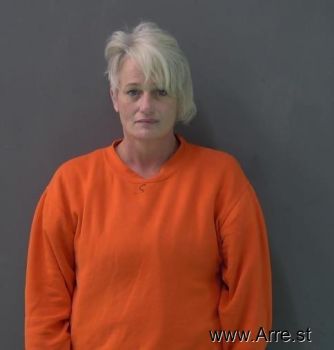 Sue Ann Vriseno Mugshot