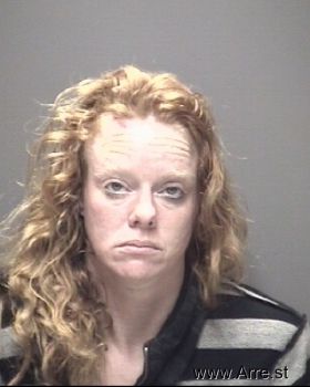 Susan Ann Gibson Mugshot