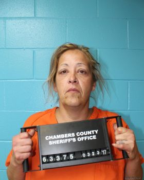 Susan Marie Woodle Mugshot