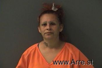 Sylvia  Sanchez Mugshot