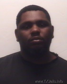 Troy Wayne Johnson Mugshot