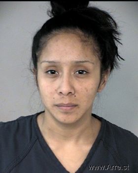 Tania Daniela Chavez Mugshot