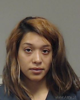 Teresa Ann Ochoa Mugshot